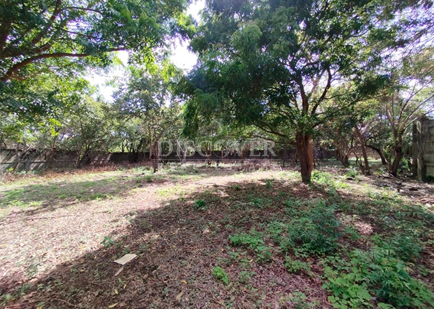  Lots for sale in Granada - Ideal for residential, tourist, or commercial projects 