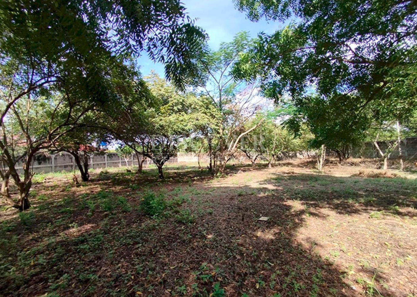  Lots for sale in Granada - Ideal for residential, tourist, or commercial projects 