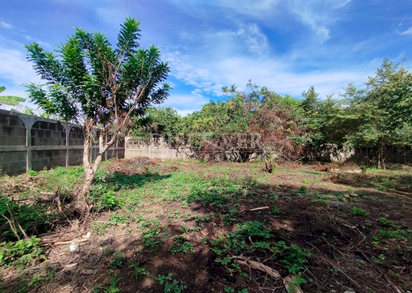  Lots for sale in Granada - Ideal for residential, tourist, or commercial projects 