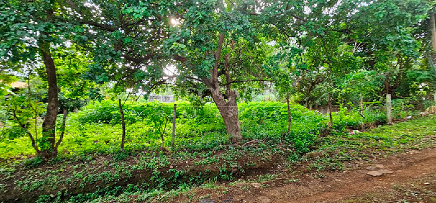  Land with mountain views for sale on Carretera Sur 