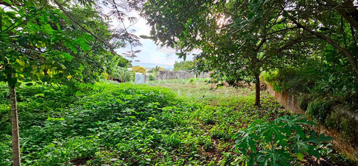  Land with mountain views for sale on Carretera Sur 