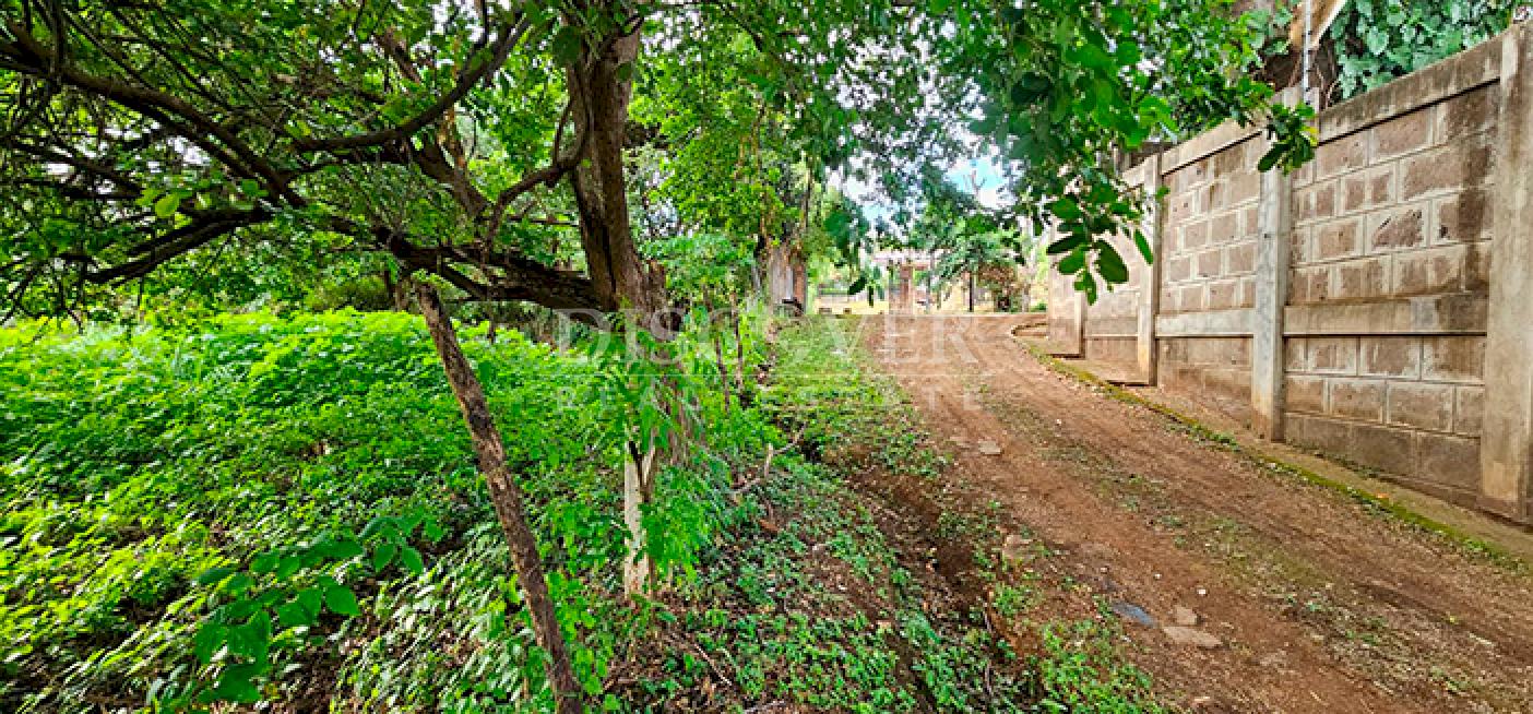  Land with mountain views for sale on Carretera Sur 