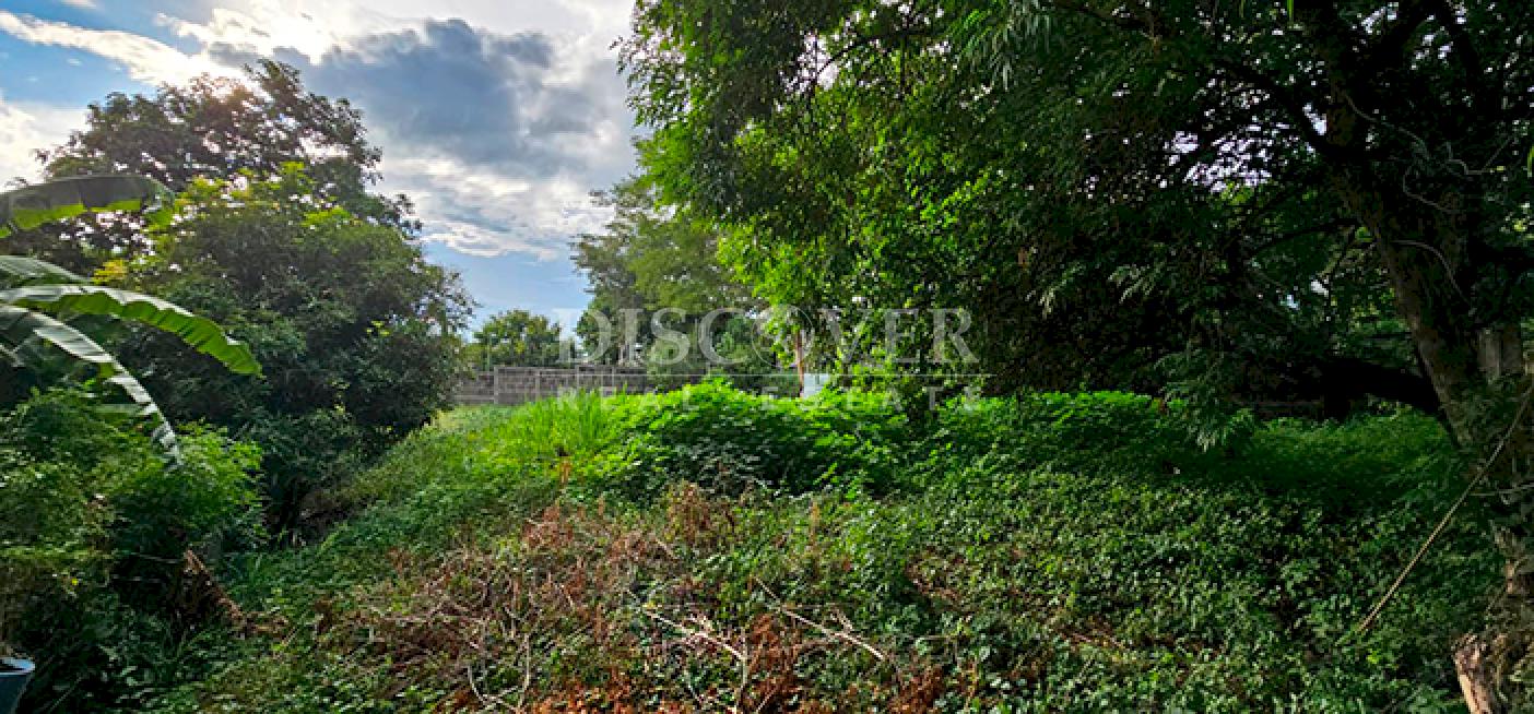  Land with mountain views for sale on Carretera Sur 