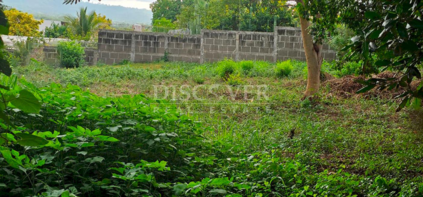  Land with mountain views for sale on Carretera Sur 