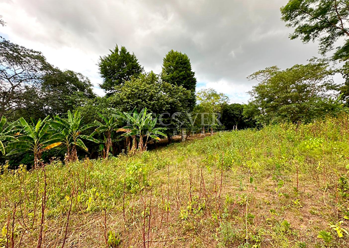 Farm for sale in Jocote Dulce – Great agricultural potential 