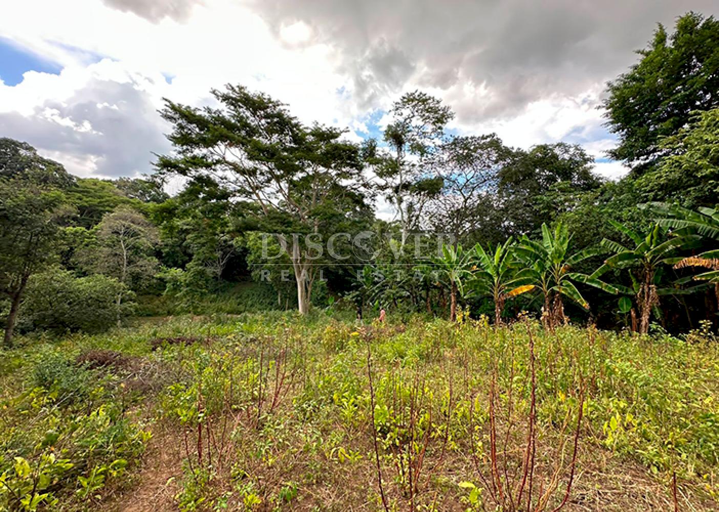 Farm for sale in Jocote Dulce – Great agricultural potential 
