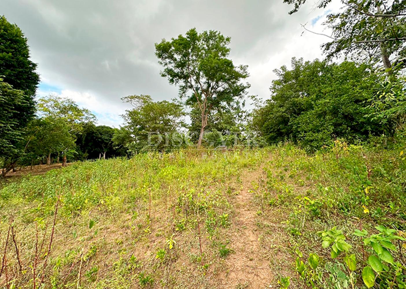 Farm for sale in Jocote Dulce – Great agricultural potential 