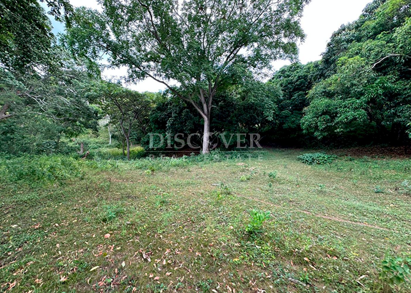Farm for sale in Jocote Dulce – Great agricultural potential 