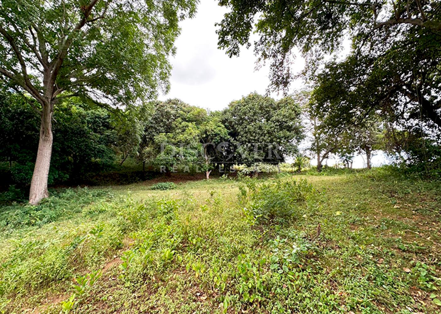 Farm for sale in Jocote Dulce – Great agricultural potential 