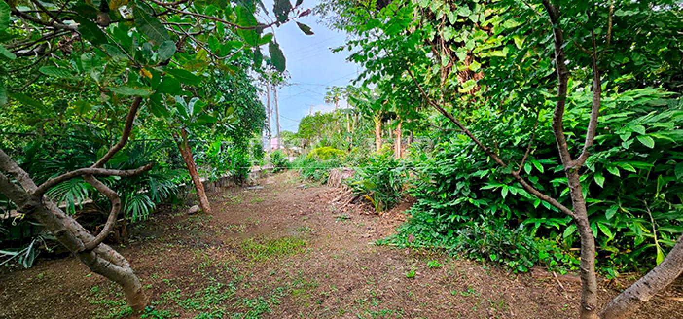  Land for sale opposite the highway on Carretera Sur 