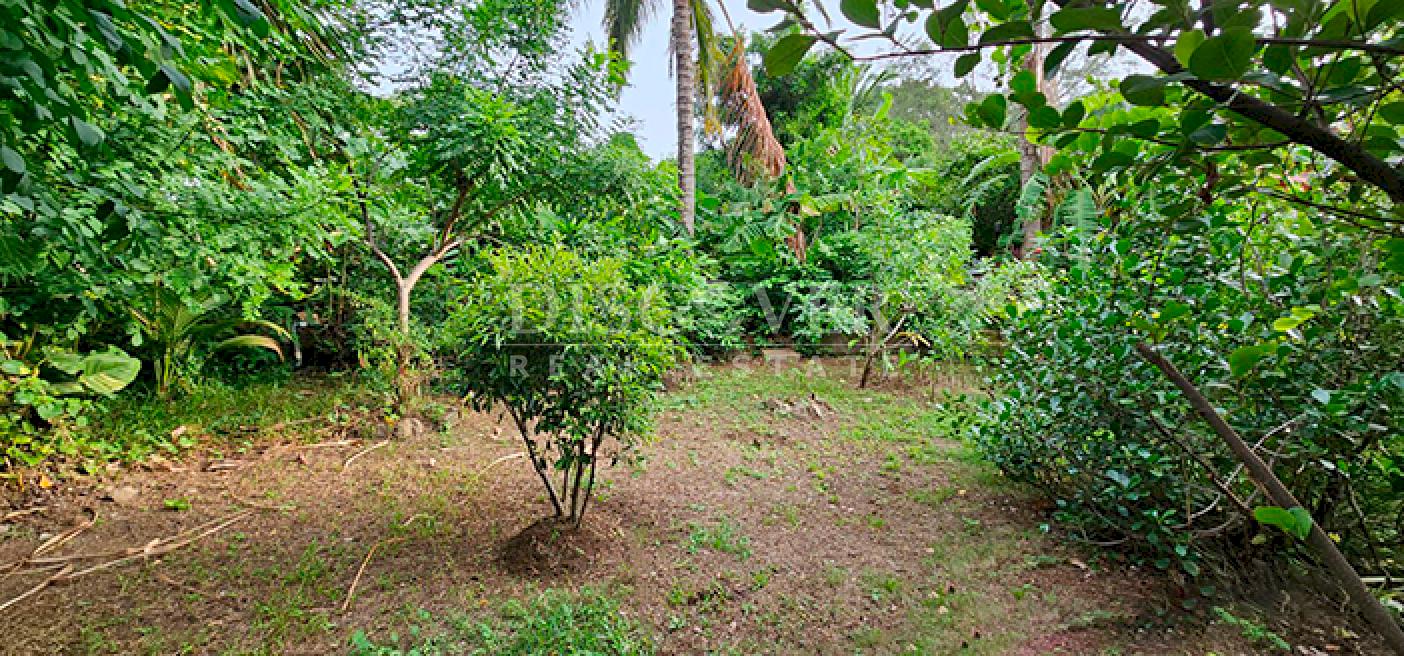  Land for sale opposite the highway on Carretera Sur 