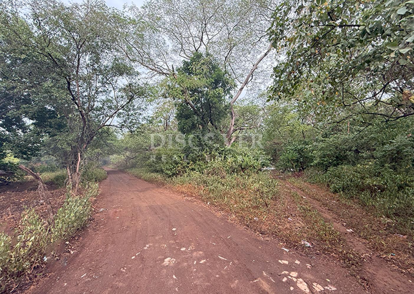 Flat land for sale – San Judas 