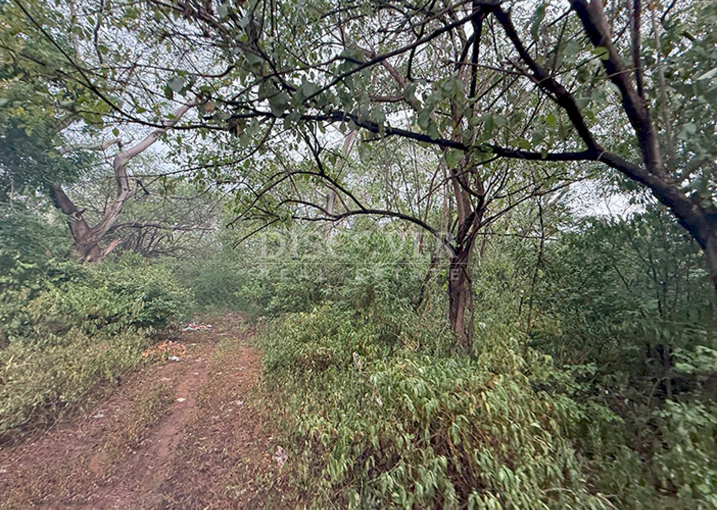 Flat land for sale – San Judas 