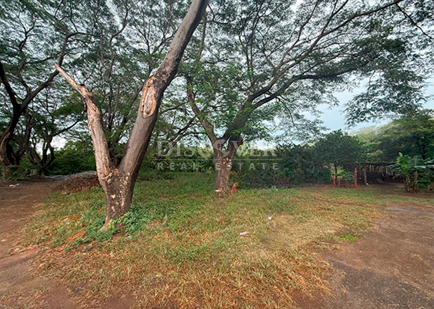 Flat land for sale – San Judas 