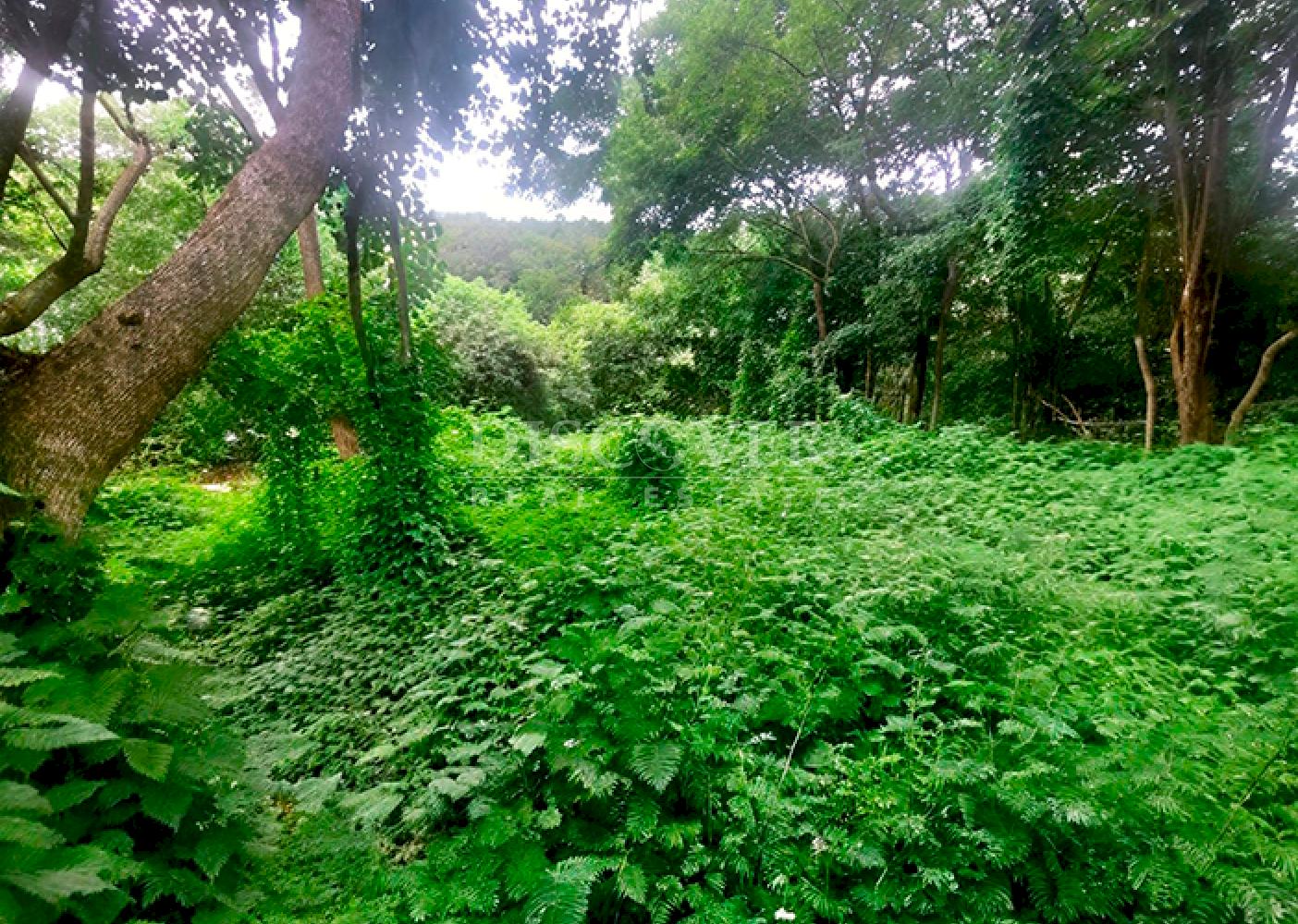  Land with beach views for sale - San Juan del Sur