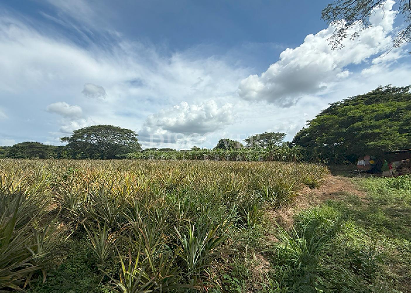  Farm for sale in Carretera a Masaya – Great investment opportunity