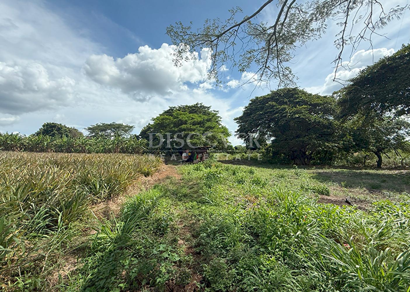  Farm for sale in Carretera a Masaya – Great investment opportunity