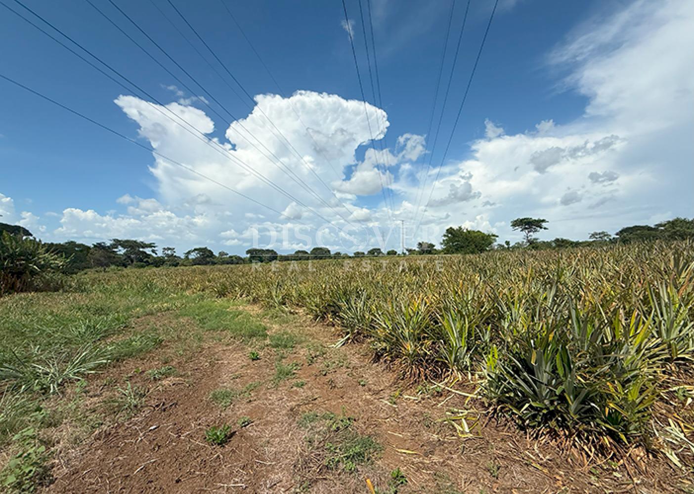  Farm for sale in Carretera a Masaya – Great investment opportunity