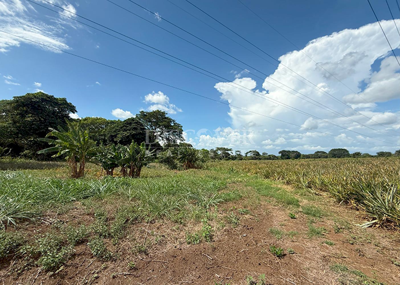 Farm for sale in Carretera a Masaya – Great investment opportunity
