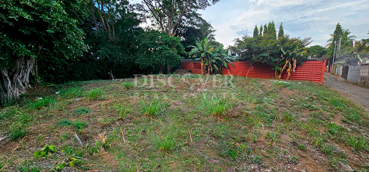  Land with high added value for sale on Carretera Sur