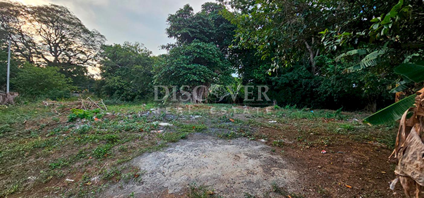  Land with high added value for sale on Carretera Sur