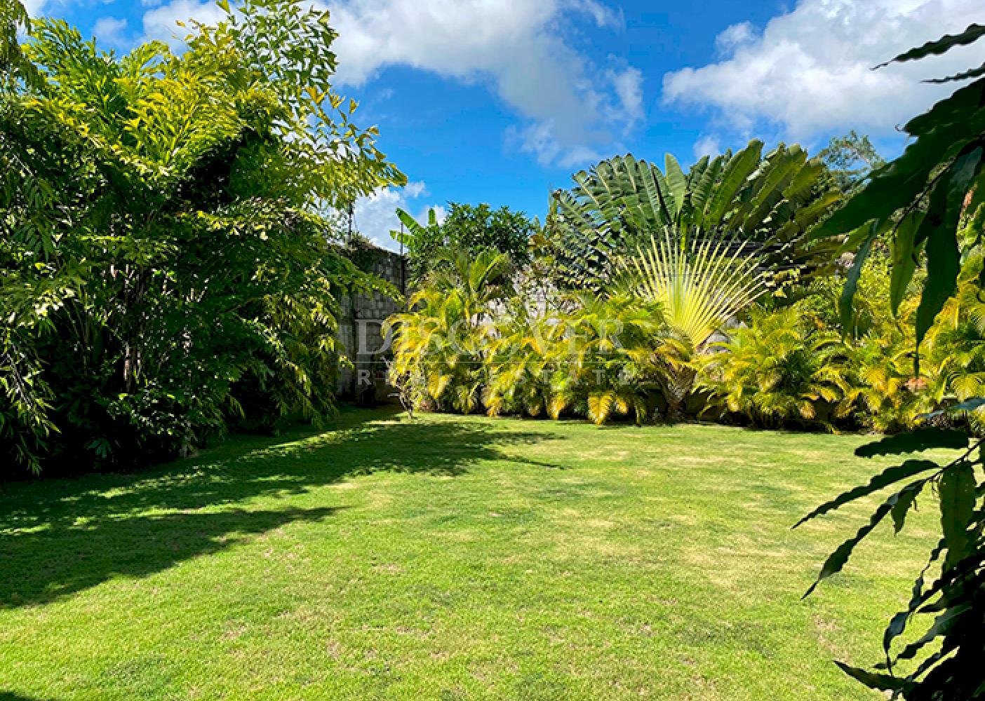 Imagen 8 de la galería