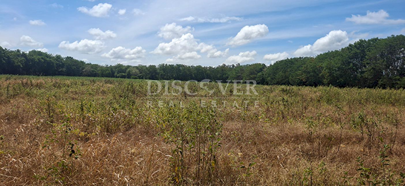 Flat land for sale in Sabana Grande 