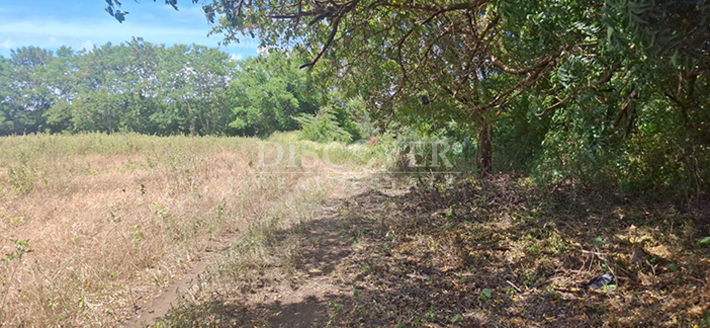  Flat land for sale in Sabana Grande 