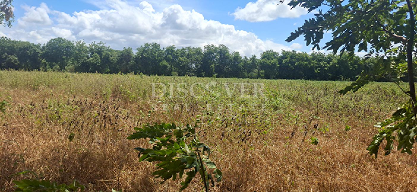  Flat land for sale in Sabana Grande 