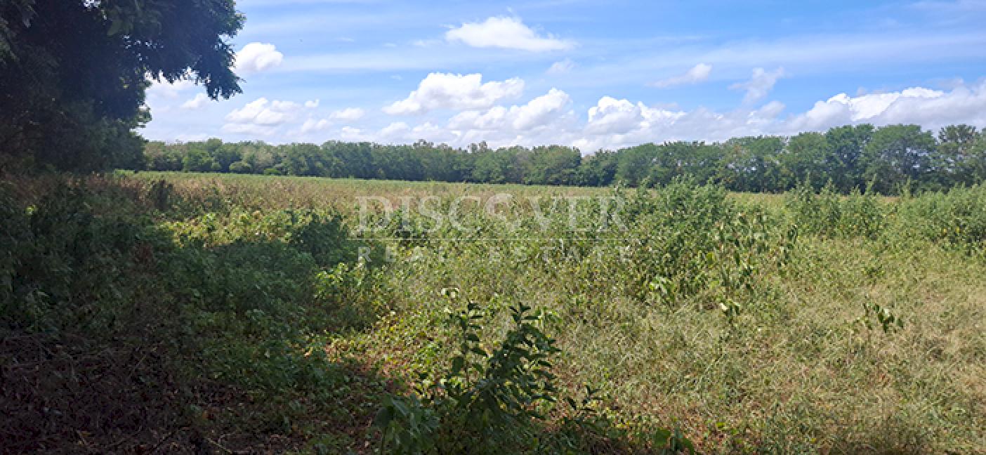  Flat land for sale in Sabana Grande 