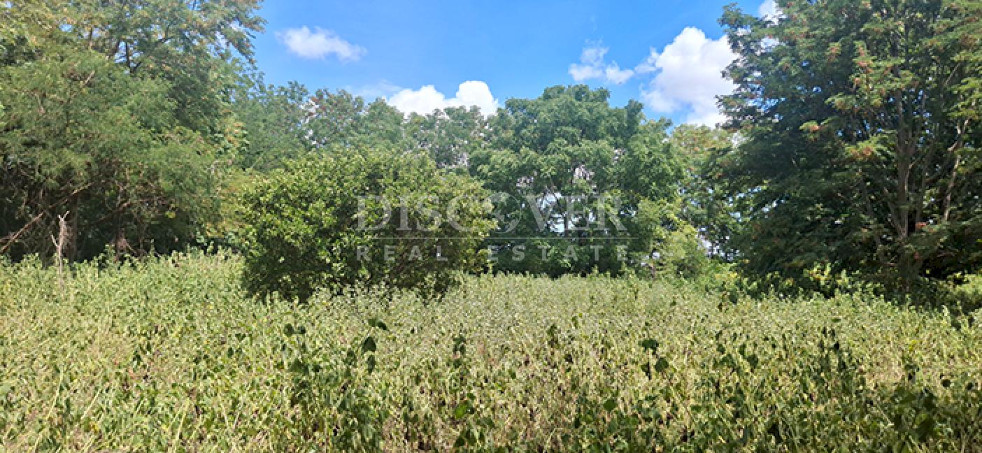  Flat land for sale in Sabana Grande 