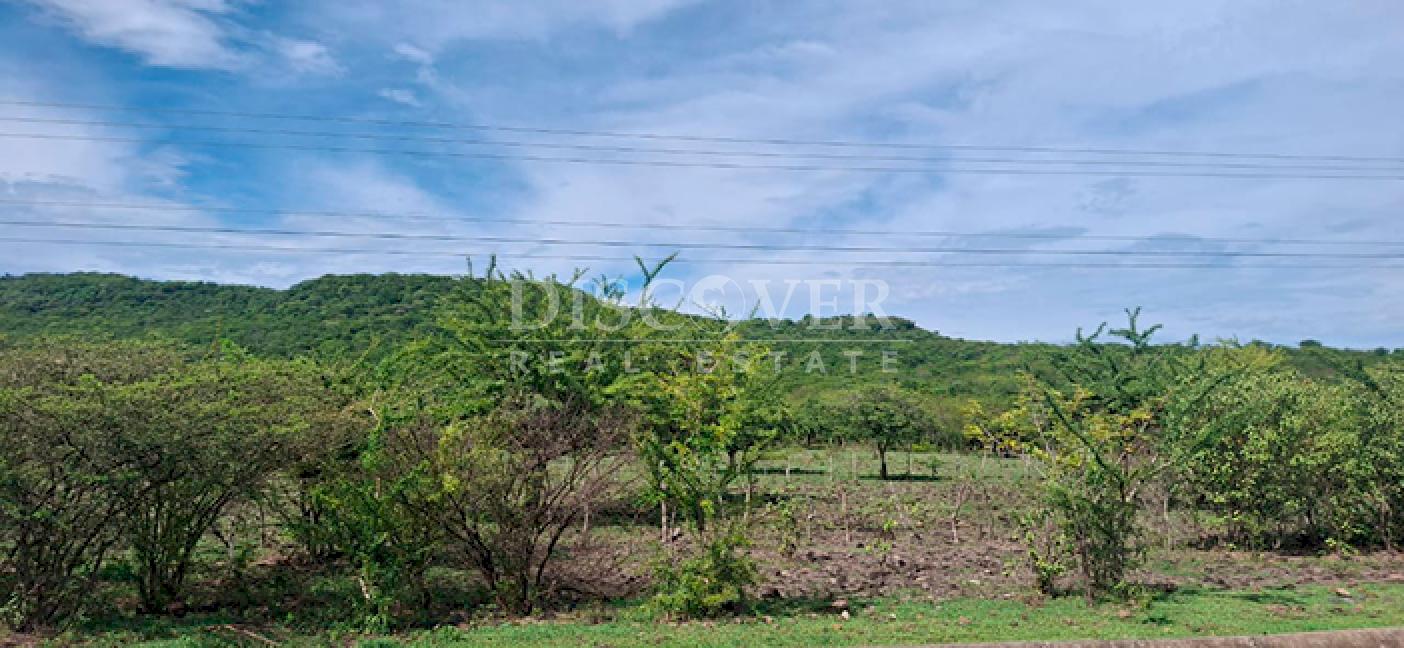 Imagen 2 de la galería