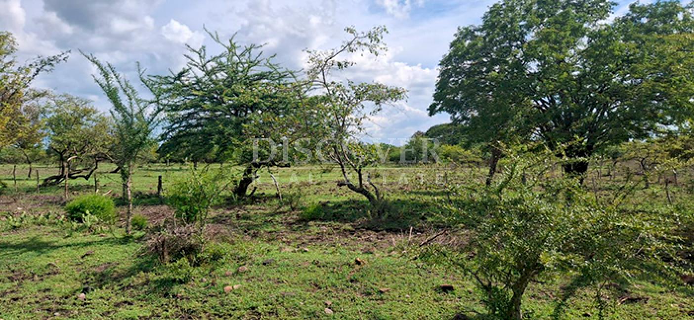 Imagen 3 de la galería