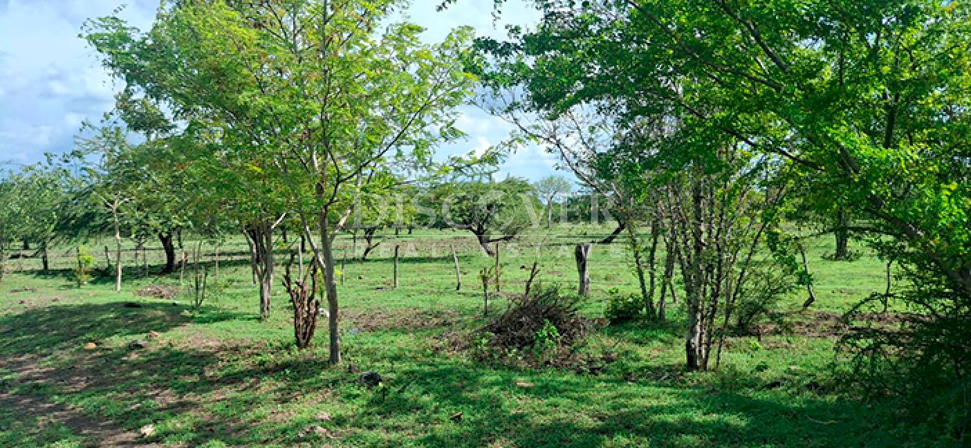 Imagen 1 de la galería
