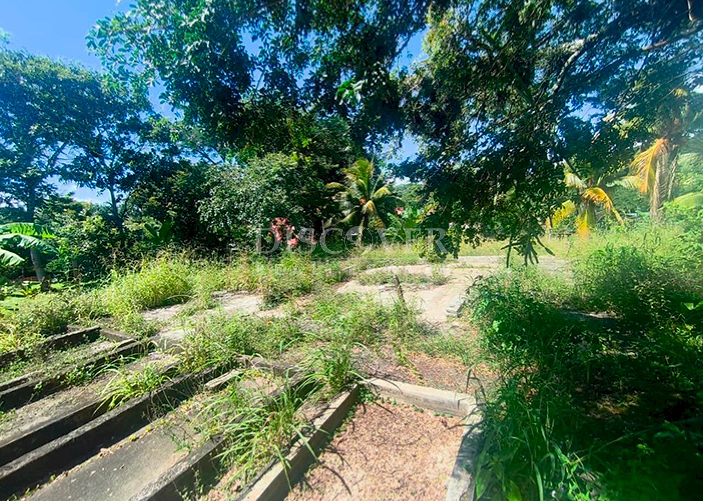 Land for sale in front of the highway in Niquinohomo