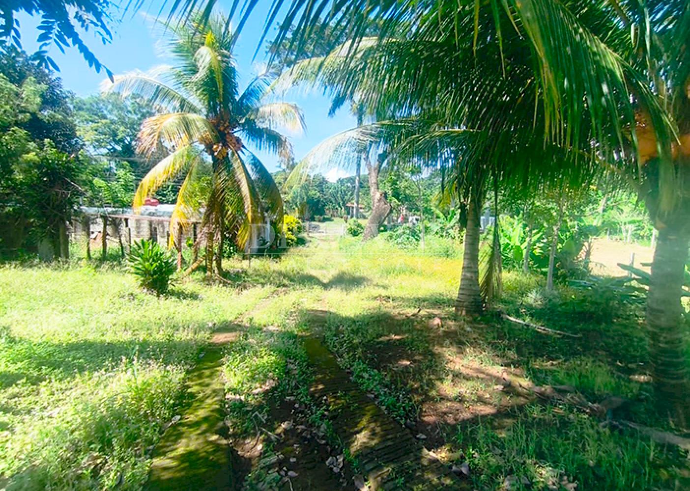 Land for sale in front of the highway in Niquinohomo