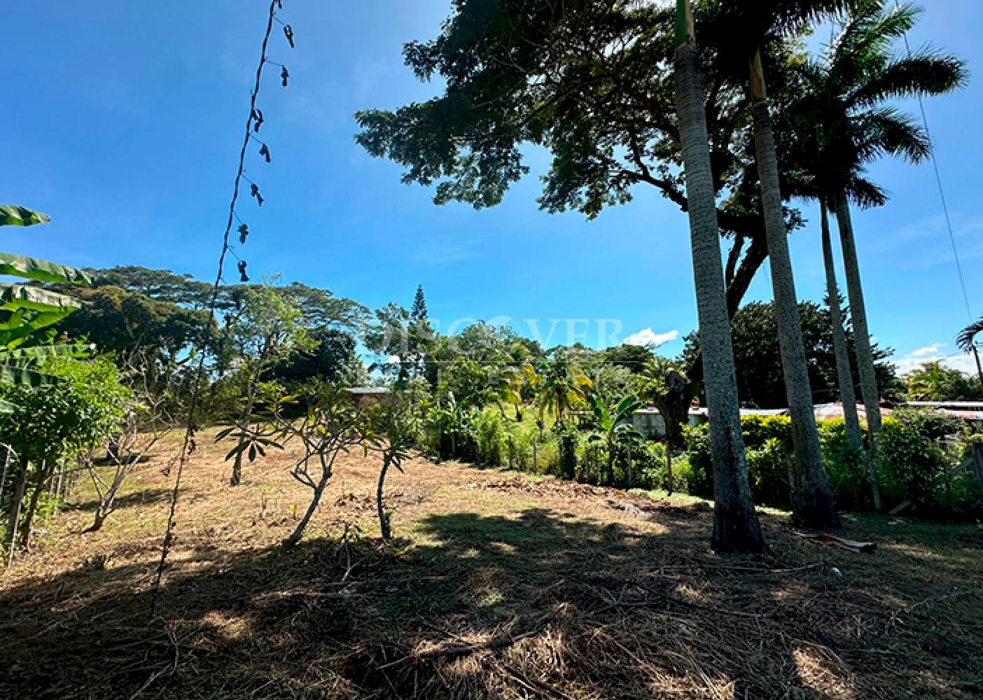  Land for sale facing the highway in Niquinohomo