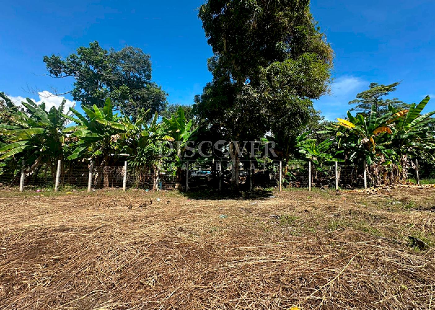  Land for sale facing the highway in Niquinohomo
