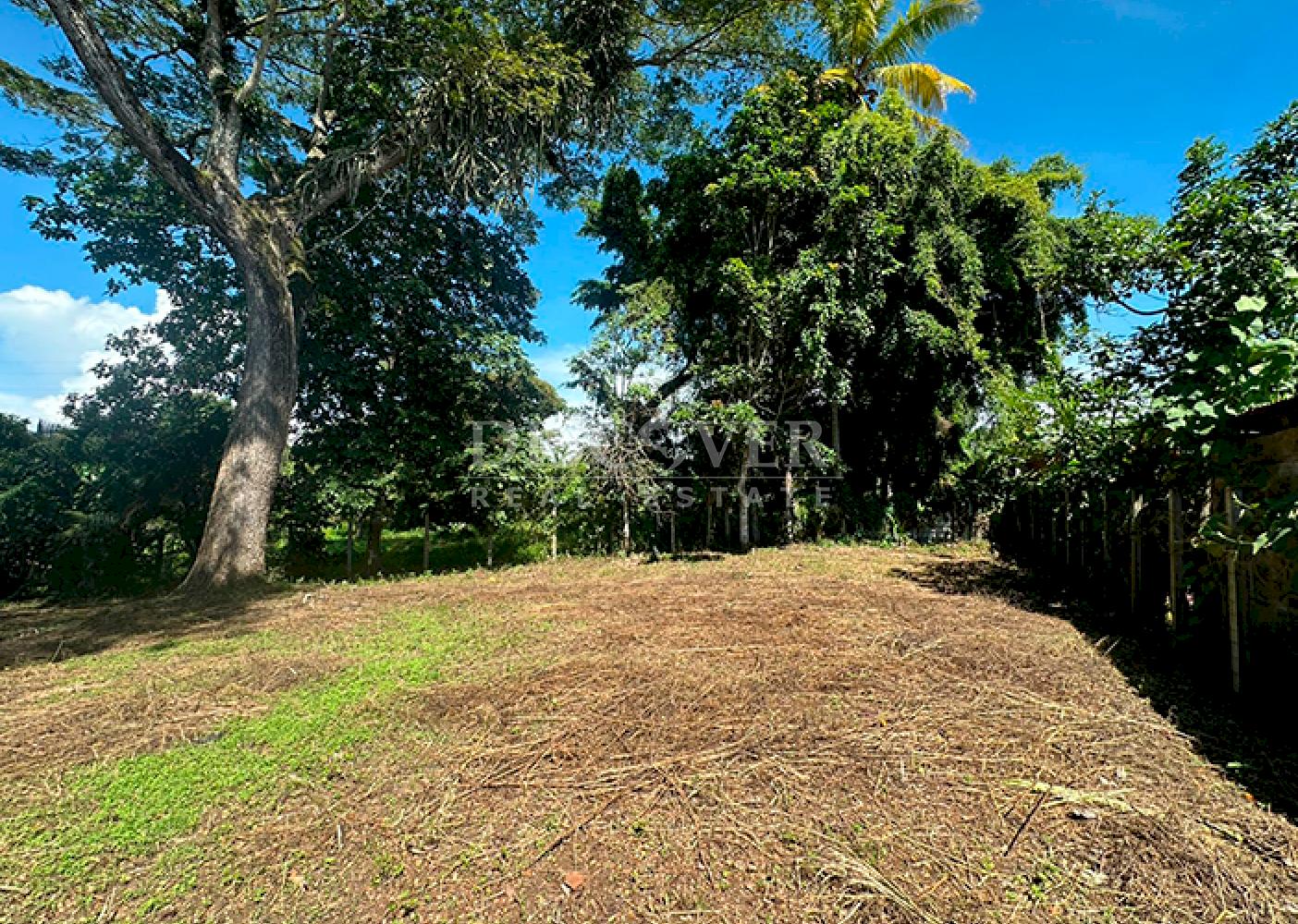  Land for sale facing the highway in Niquinohomo