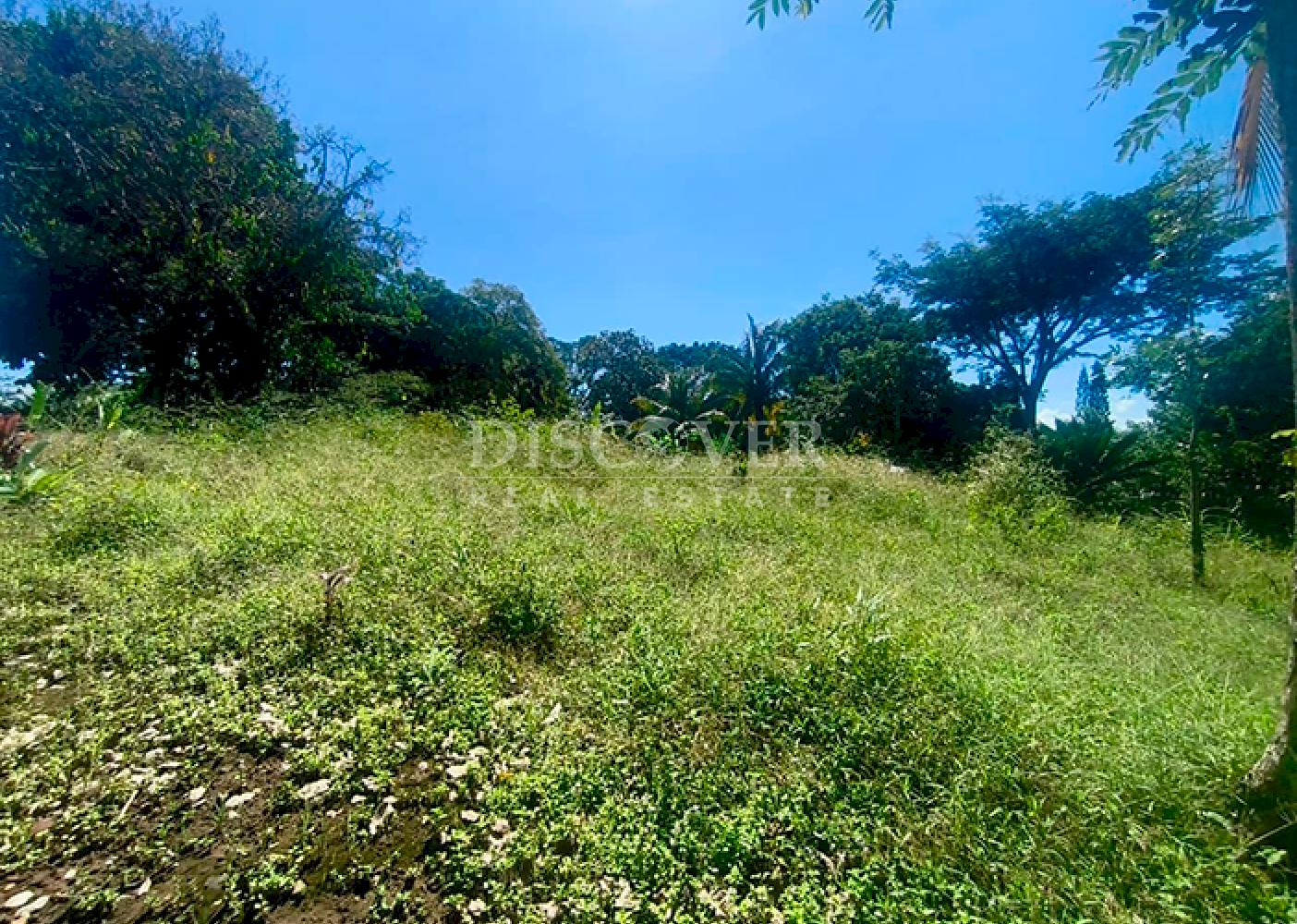  Flat land for sale in Niquinohomo 