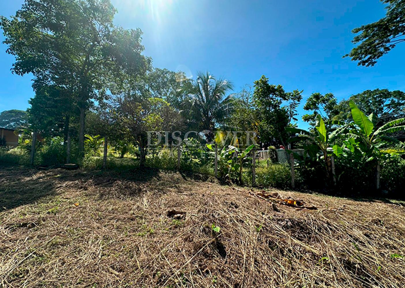  Flat land for sale in Niquinohomo 