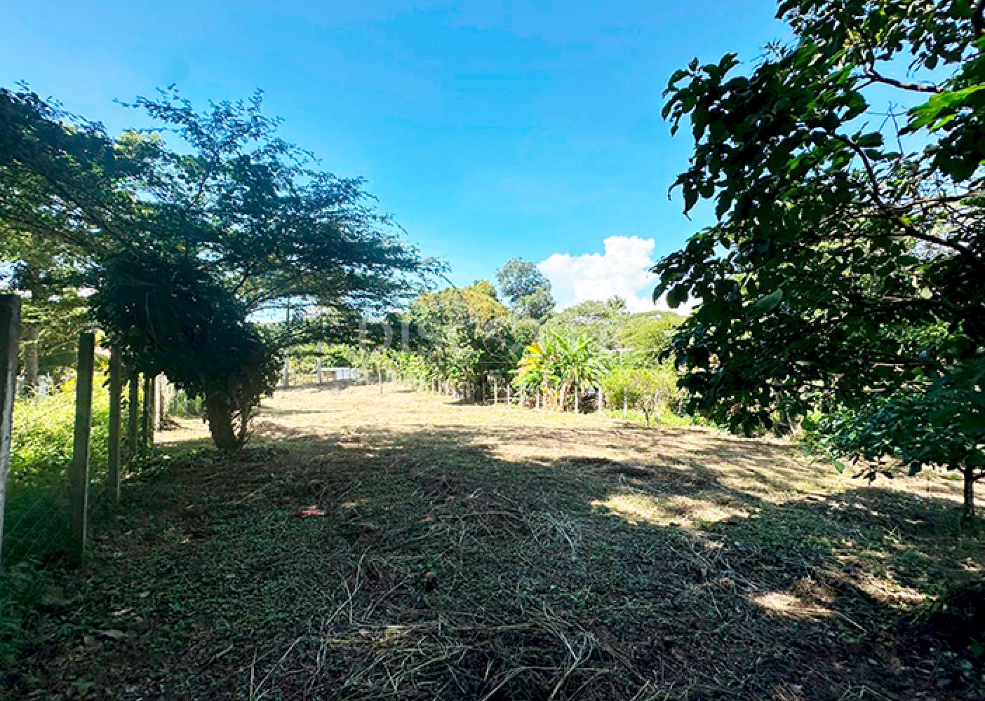  Flat land for sale in Niquinohomo 
