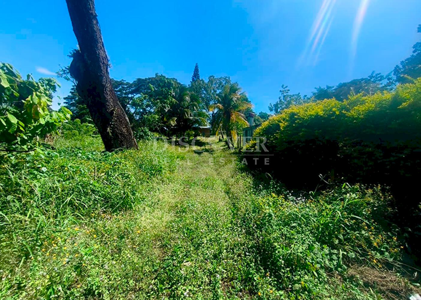  Flat land for sale in Niquinohomo 