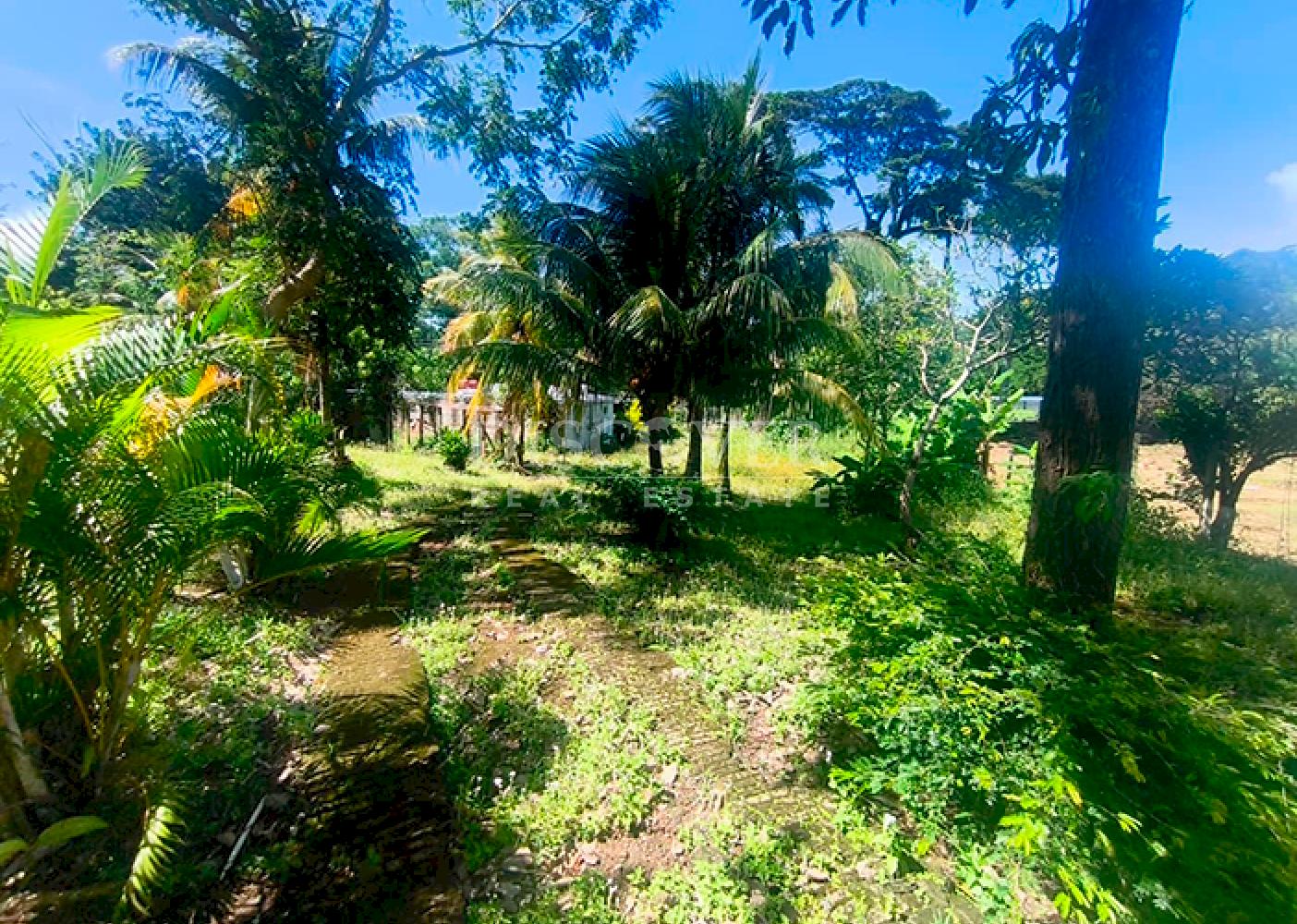  Flat land for sale in Niquinohomo 