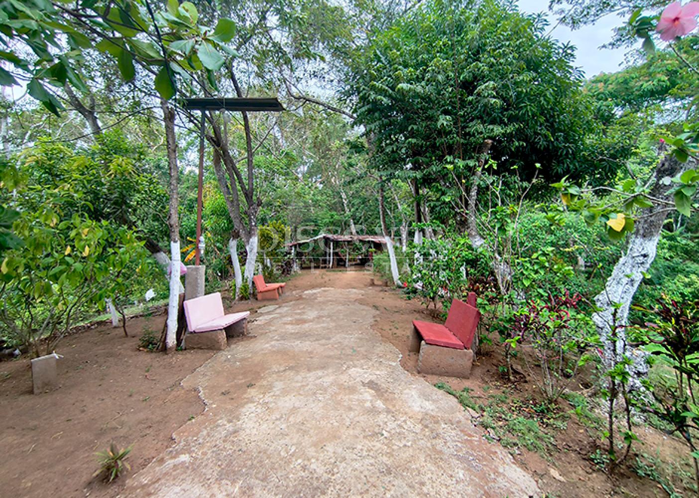  Farm for Sale in Masaya - Productive Oasis and Retreat