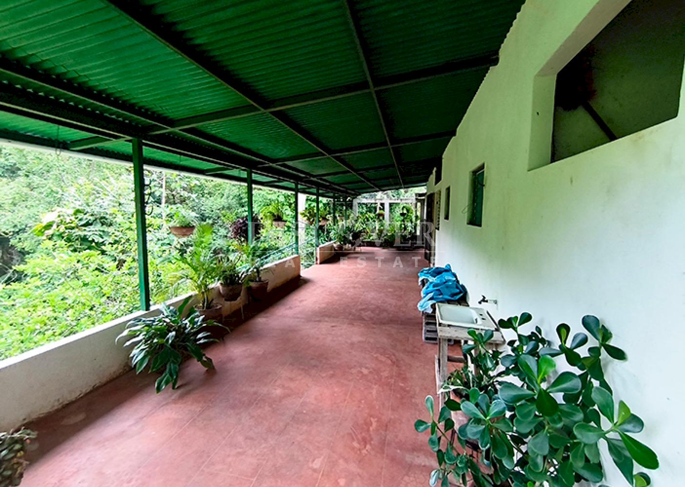  Farm for Sale in Masaya - Productive Oasis and Retreat