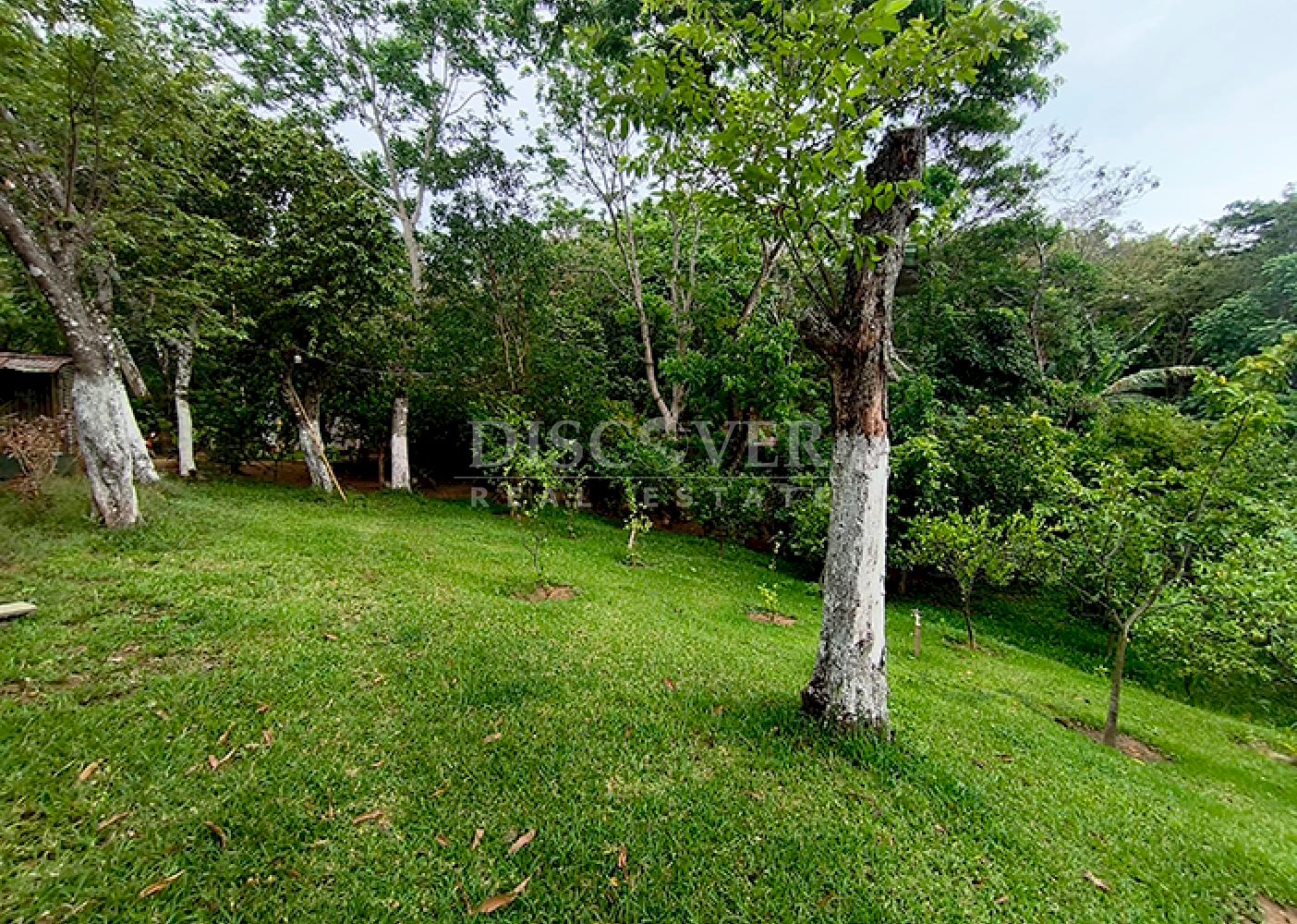  Farm for Sale in Masaya - Productive Oasis and Retreat