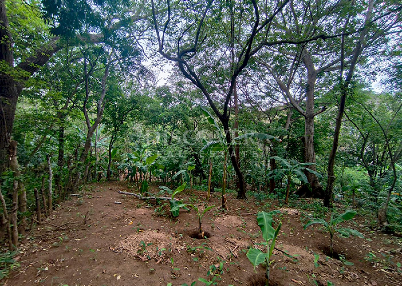  Farm for Sale in Masaya - Productive Oasis and Retreat