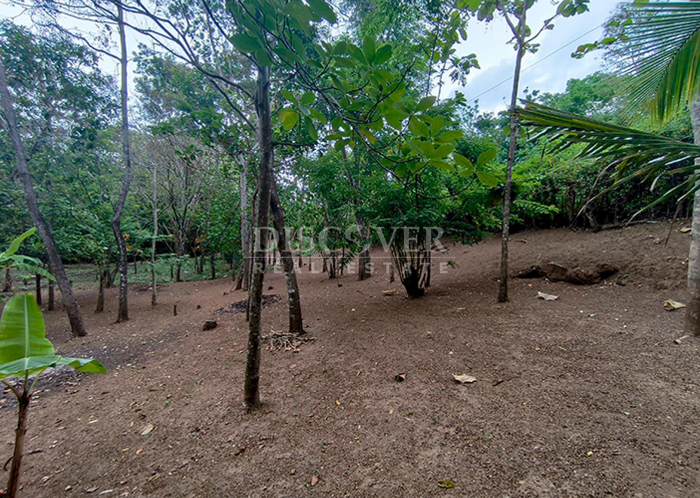  Farm for Sale in Masaya - Productive Oasis and Retreat