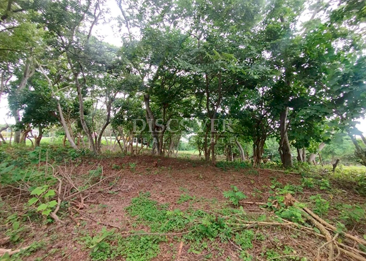  Flat land for sale opposite Carretera a Masaya